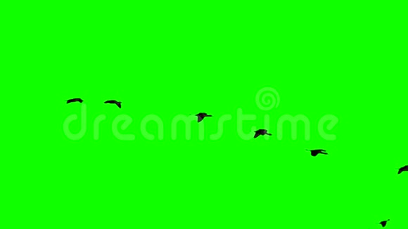在超级慢动作的绿色屏幕上飞过视频的预览图