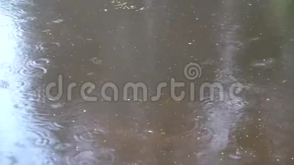 雨天水面4k视频的预览图