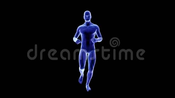 慢跑者解剖视频的预览图