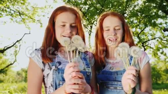 搞笑红头双女少年玩蒲公英花吹掉种子180fps慢动作视频视频的预览图