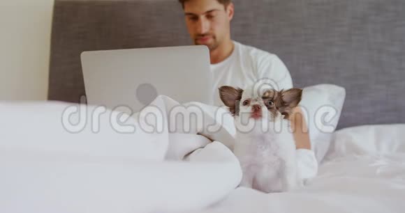 年轻人用笔记本电脑4K4K和宠物一起坐在床上视频的预览图