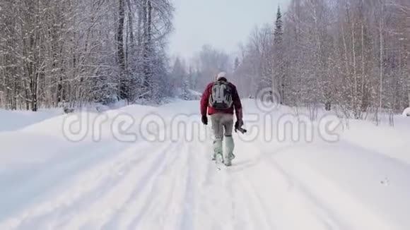 冬季沿着森林小径旅行和徒步旅行剪辑手持摄像机在树林中行走的年轻人概念视频的预览图