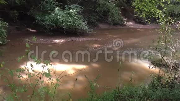 佐治亚州塞威尔溪夏季一个横跨塞威尔溪的平底锅里面有流动的水和树木视频的预览图