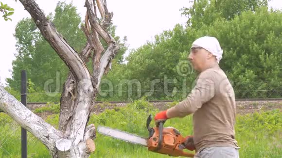 一个人在他家附近砍了一棵链锯树背景中的绿树移除干燥的树枝视频的预览图