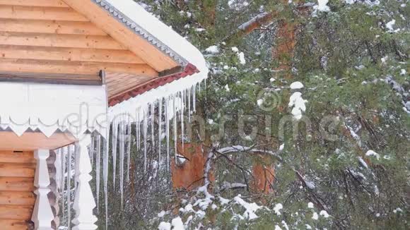 冬天的雪冰柱柔和的下雪的圣诞节早晨下雪了视频的预览图