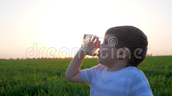 草地上的小男孩手里拿着玻璃杯喝着矿泉水孩子坐在绿茵场上孩子喝着水视频的预览图