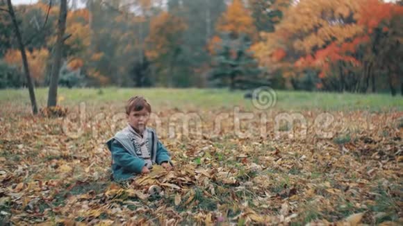可爱的小男孩在秋天的公园里玩耍坐在草地上抛起黄色的落叶4k视频的预览图