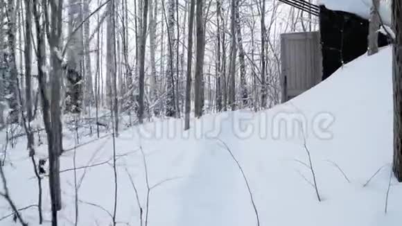 旧冷窖入口冬日里白雪覆盖剪辑木门位于森林中森林视频的预览图