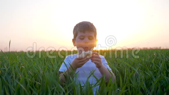 可爱的孩子与面包店的手在大自然小男孩在草地上与面包在手臂孩子吃面包到绿色的田野视频的预览图