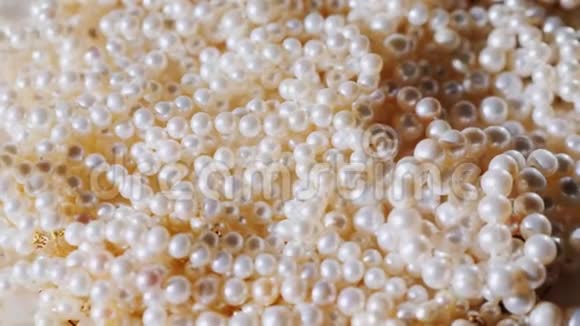 美丽的白色珍珠天然珍珠产品视频的预览图