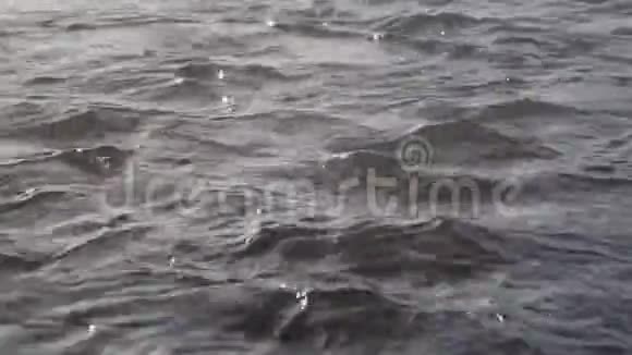 瀑布效应流水低潮冒泡泉水鸟鸣视频的预览图