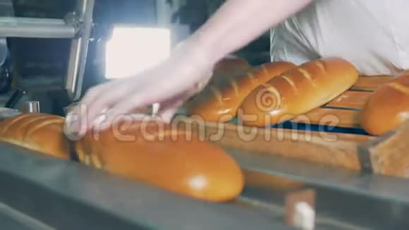 长长的面包放在传送带上关上视频的预览图