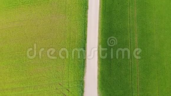 从空中无人机飞行的草原和乡村田野视频的预览图