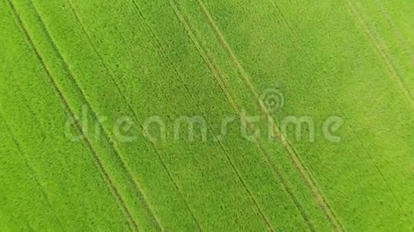 从空中无人机飞行的草原和乡村田野视频的预览图