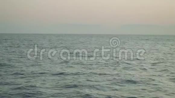 马德拉岛附近的大西洋鲸鱼景观从游艇板上看视频的预览图