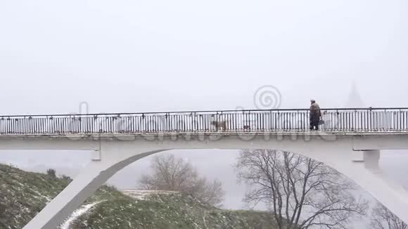 冬天下雪时孤独的老妇人和狗在桥上散步视频的预览图