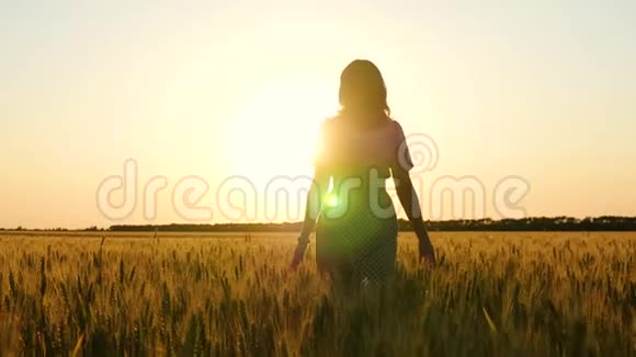 那个女孩在日落时在麦田里穿裙子的女人的剪影视频的预览图