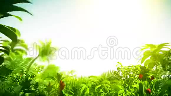 生长的热带森林三维动画视频的预览图