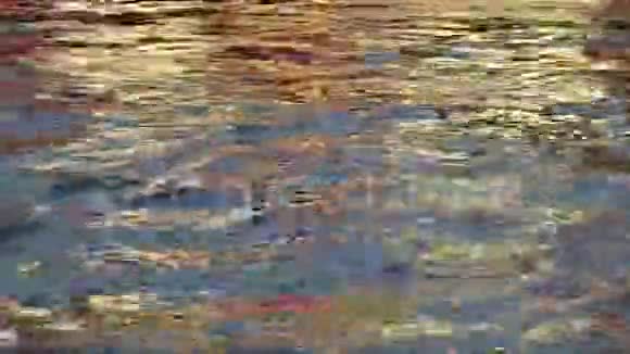 抽象性质美丽的金色阳光反射在蓝色的水面上视频的预览图