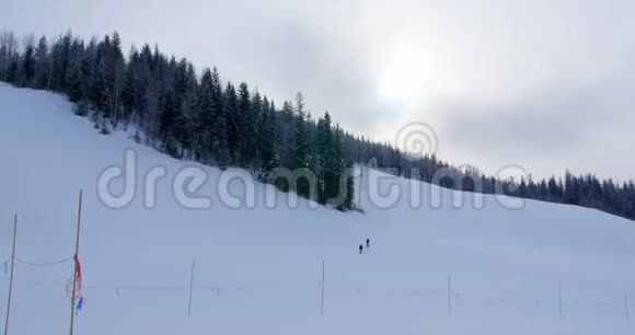 滑雪者在高山滑雪4k视频的预览图