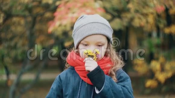 有趣的小女孩捧着一束小花在令人惊叹的秋季公园慢动作中享受野花的芬芳视频的预览图