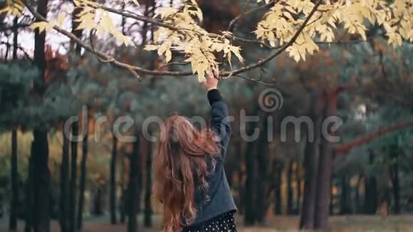 可爱有趣开朗的小女孩在令人惊叹的秋天公园里眼泪汪汪的树叶视频的预览图