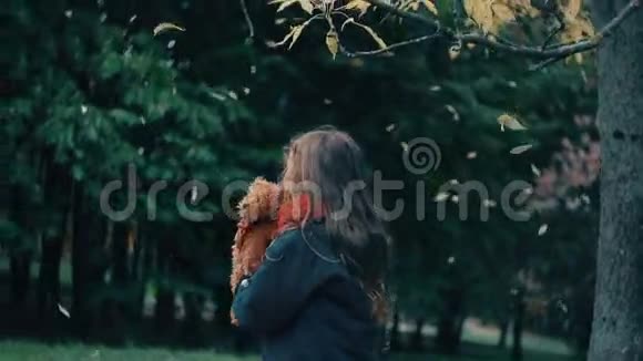 可爱的小女孩玩着她的泰迪熊拥抱把它抱在她的黄叶子上从树上慢慢地落下来视频的预览图