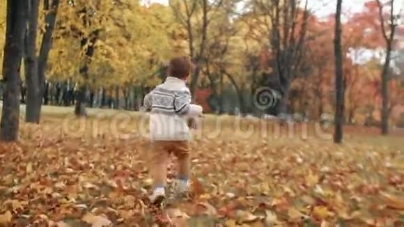 可爱的小男孩穿过公园里令人惊异的秋日小巷走进了他美丽母亲斯洛莫的怀抱视频的预览图