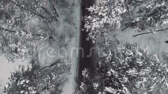 冬季森林中的道路视频的预览图