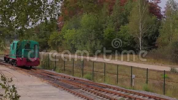 火车头乘火车森林铁路的机车地点视频的预览图