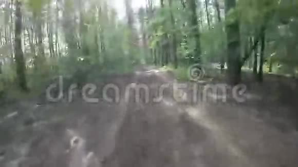 树林里的车视频的预览图