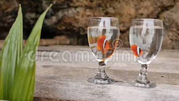 两条小丑鱼在异国海岸的两个玻璃碗里漂浮在水中这对夫妇的婚礼想法菲律宾的异国情调视频的预览图