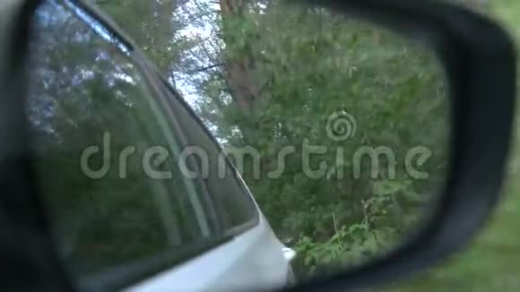树林里的车视频的预览图