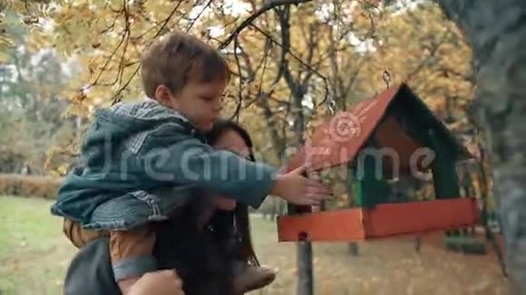 年轻的妈妈抱着一个可爱的小男孩的肩膀男孩把食物放在一个惊人的秋天公园的喂食器里视频的预览图