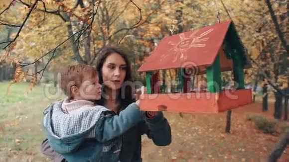 年轻的母亲抱着他可爱的小儿子男孩把食物放在一个惊人的秋天公园的喂鸟器里视频的预览图