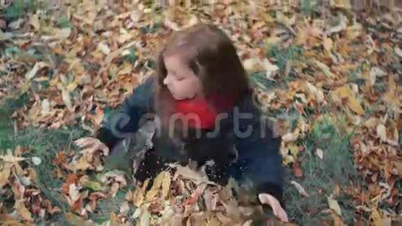 观点可爱的小女孩在秋天公园玩耍坐在草地上抛起黄色的落叶4k视频的预览图