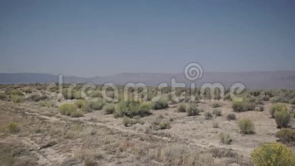 沙漠路边的一个潘视频的预览图
