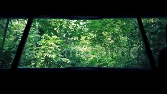 乘坐车辆穿越丛林视频的预览图