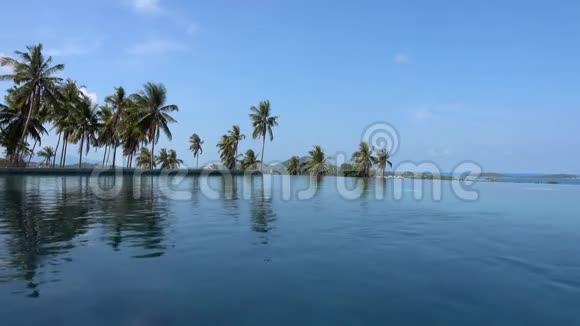 热带国家游泳池表面环绕棕榈树视频的预览图
