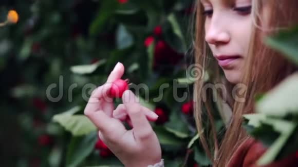 时尚敏感的少女与浆果视频的预览图