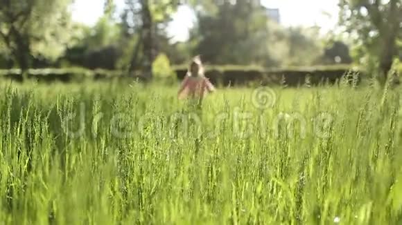 可爱的三岁小女孩快乐地穿过草地视频的预览图