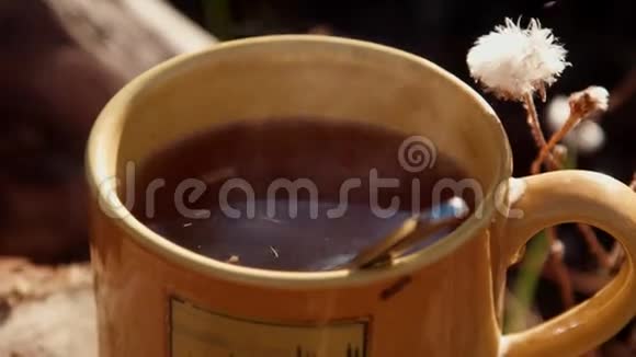 在树桩上喝杯茶视频的预览图
