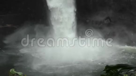 夏威夷的瀑布视频的预览图