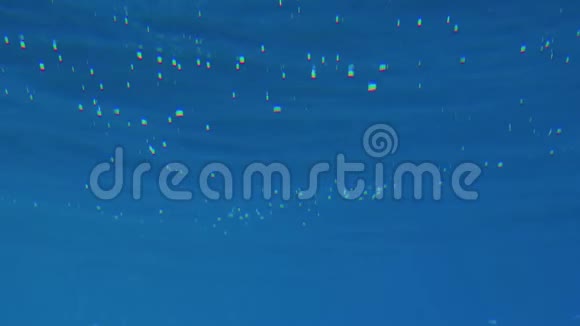 4k慢动作水下视频阳光透过海面照射视频的预览图