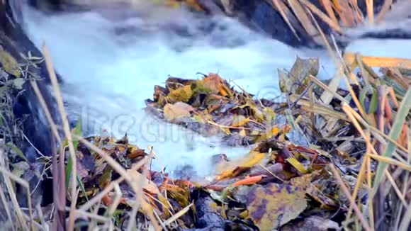 落叶黄叶瀑流水特写秋季视频的预览图
