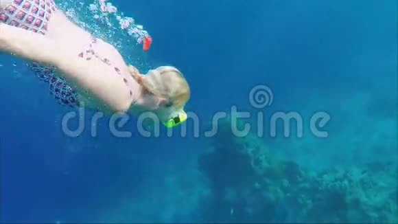 一个年轻的女人带着面具和管子在异国的鱼和珊瑚中潜水伟大的假期和潜水视频的预览图