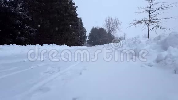 暴风雪暴雪与常青树带有树木区域的下雪自然场景北雪天气风景区视频的预览图