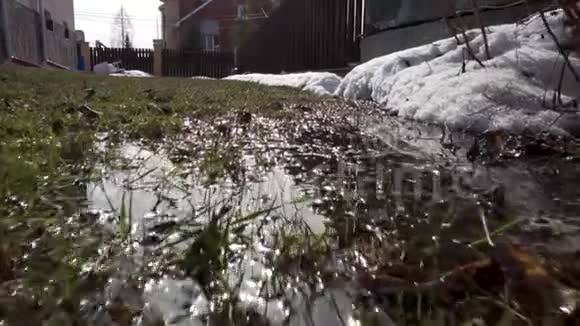 春天的风景最后的雪在僻静的地方录像明媚的阳光融化了雪落叶乔木无叶视频的预览图