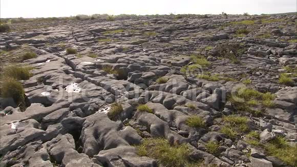 爱尔兰的岩石和草地地形视频的预览图