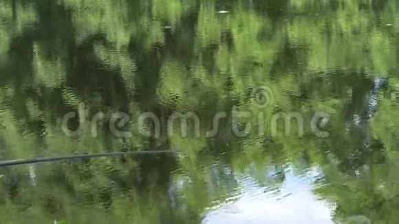 在森林湖的水面上盘旋视频的预览图